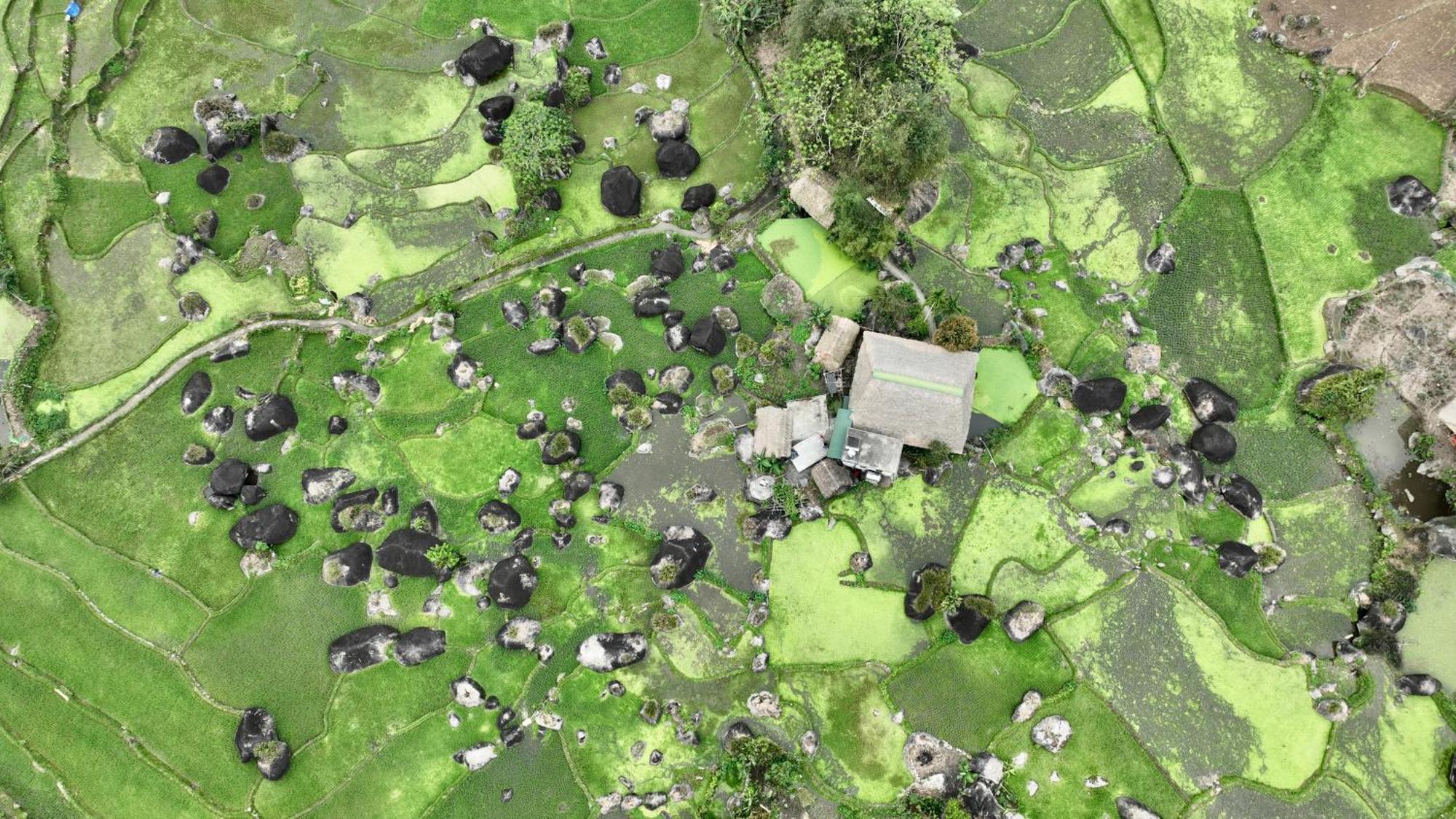 Thavill Retreat Hagiang Apartment Ha Giang Bagian luar foto