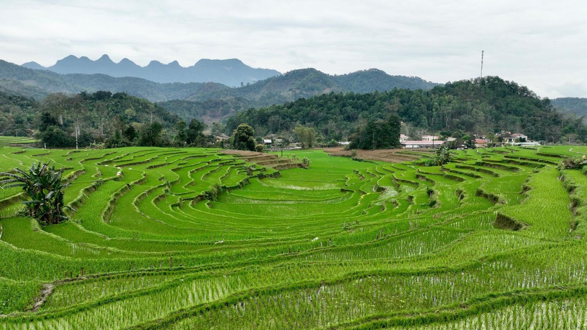 Thavill Retreat Hagiang Apartment Ha Giang Bagian luar foto
