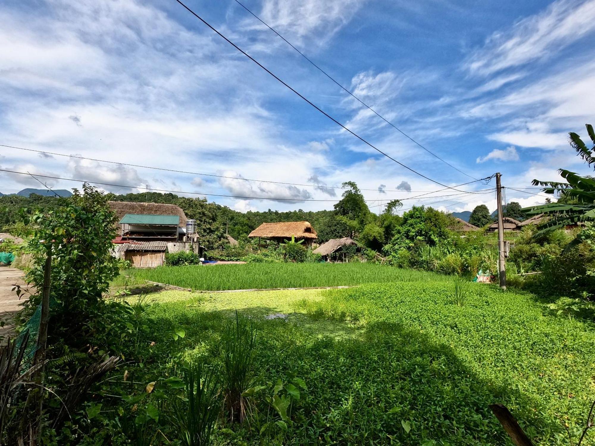 Thavill Retreat Hagiang Apartment Ha Giang Bagian luar foto