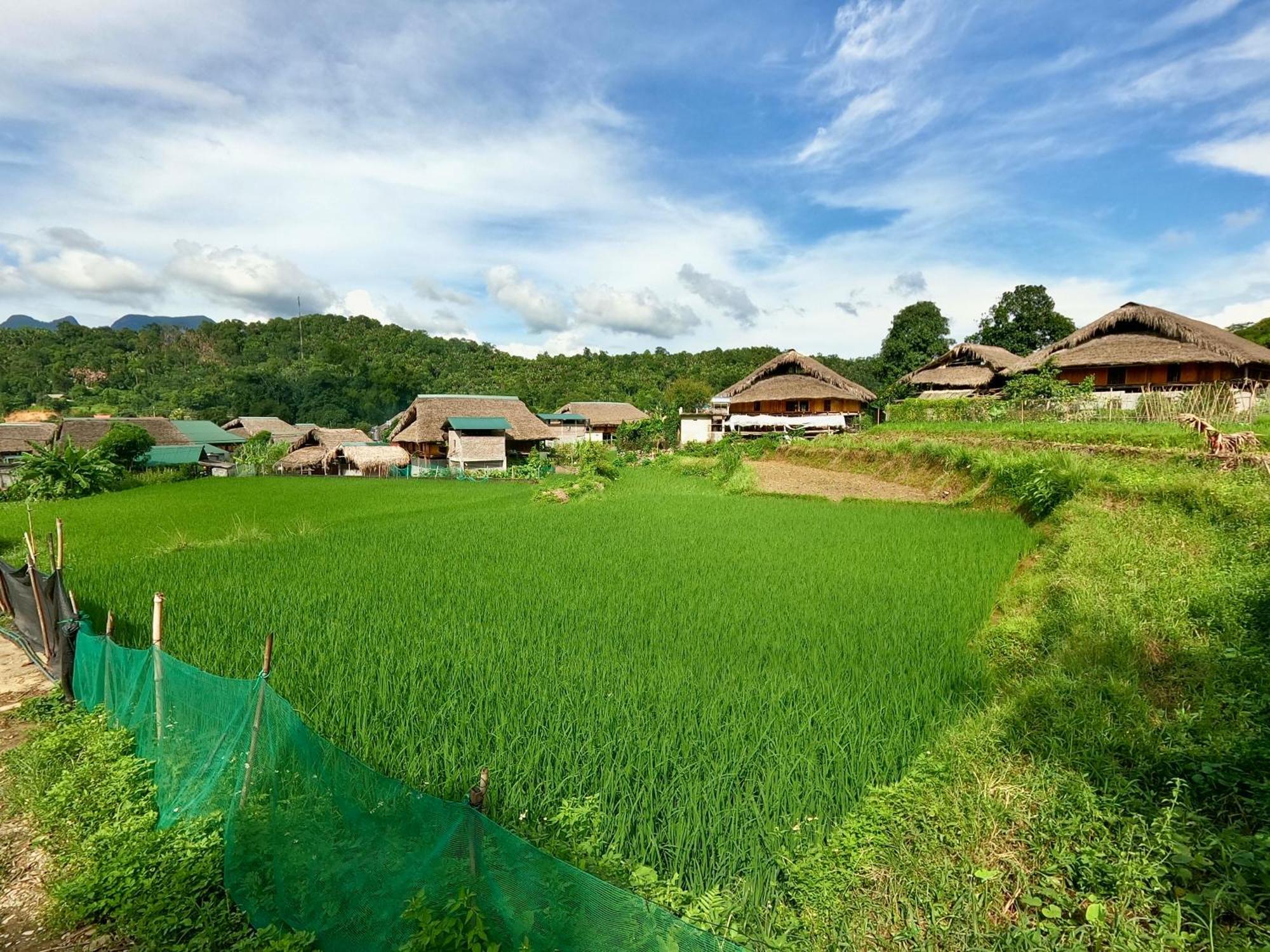 Thavill Retreat Hagiang Apartment Ha Giang Bagian luar foto
